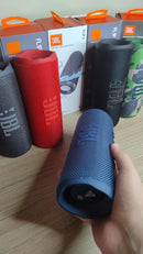 Parlante Jbl Flip 6 1.1